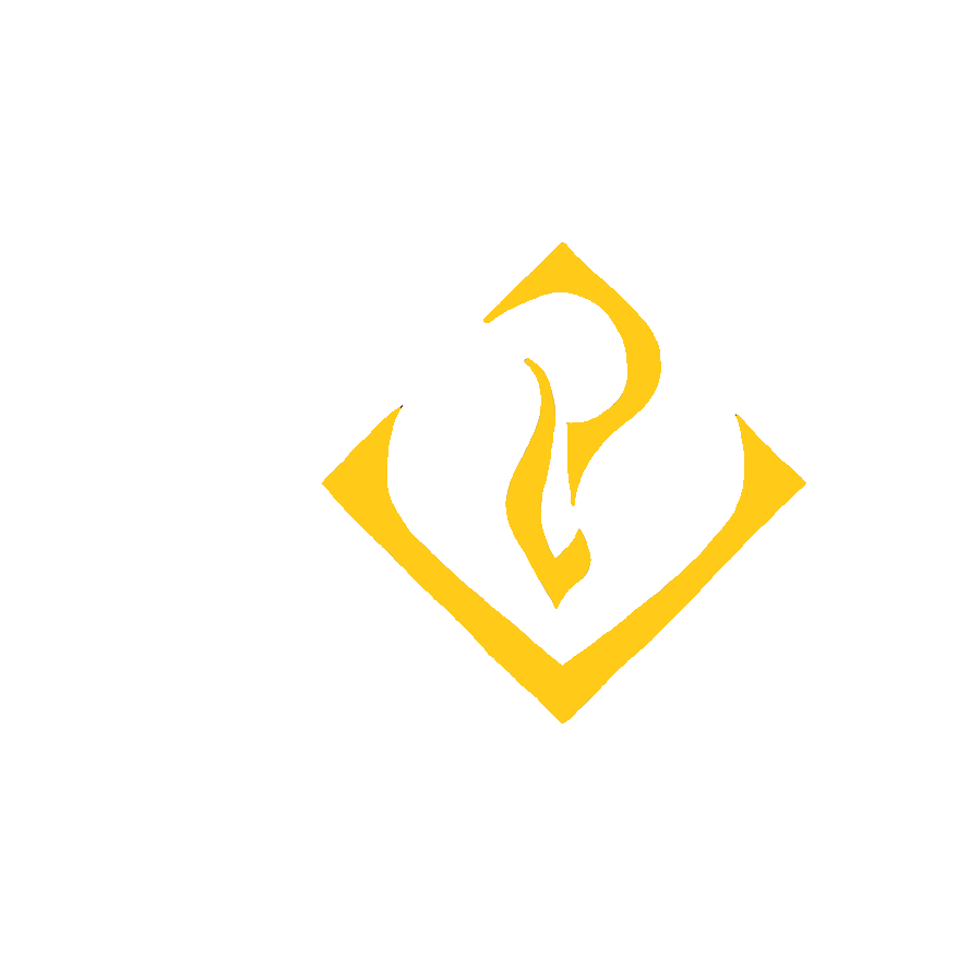 VP Solutions Logo